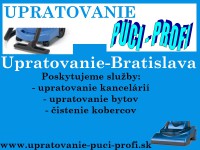 /album/web-vizitky-vase-miesto-na-internete/puci-profi-jpg/