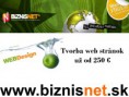 /album/tvorba-web-stranok/biznisnett-jpg1/